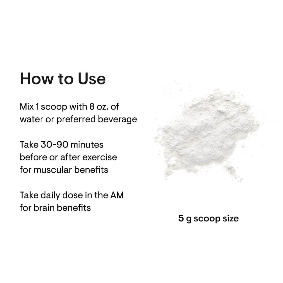 THORNE Creatine, Micronized Creatine Monohydrate Powder, 90 Servings | Supports Lean Muscle Mass, Endurance & Cognitive Function*, Unflavored, 5 g per Serving, NSF Certified for Sport